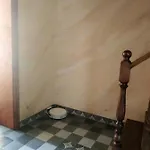 Nestg * Pilipets