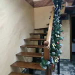 Nestg *