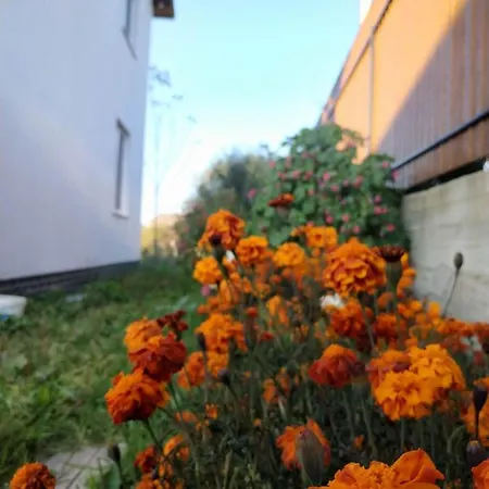 Nestg Apartament *