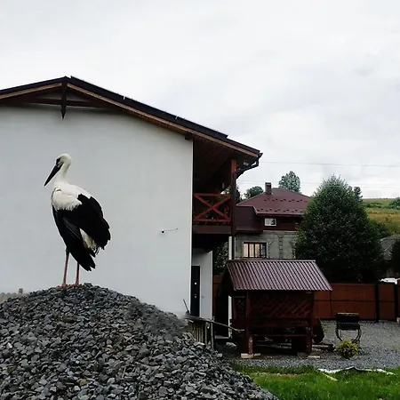 Nestg דירה Pilipets