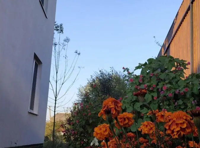 Nestg Appartement *
