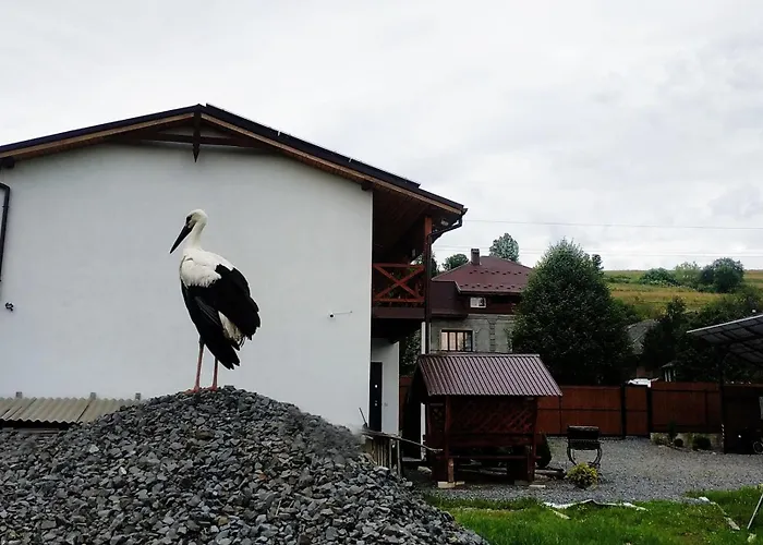 Nestg Appartement Pilipets