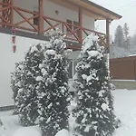 Nestg